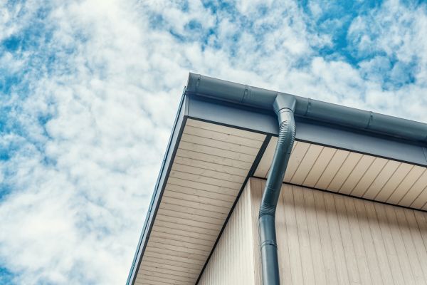 Gutter Fascia Repair in Kinston