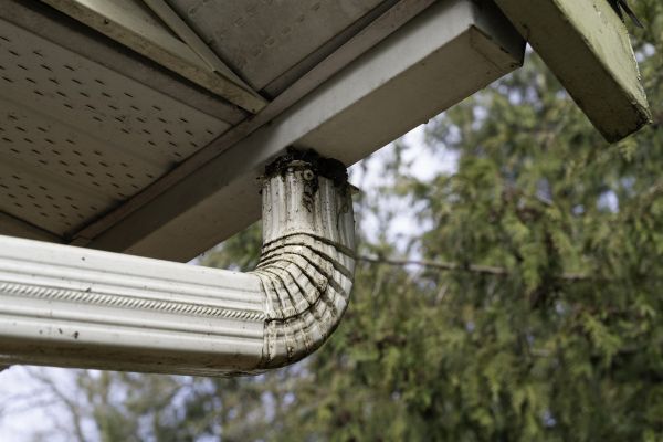 Roof Drain Replacement in Kinston